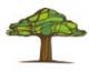 mybaobab